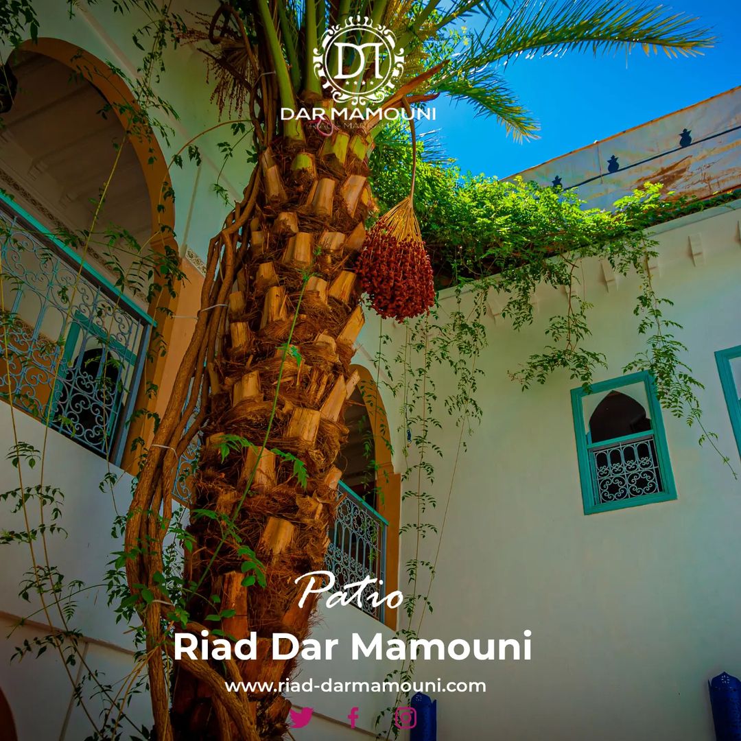 Riad Dar Mamouni 